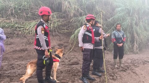 Unit Polsatwa Ditsamapta Polda Sumbar Turunkan K9 Spesifikasi SAR Telusuri Jalur Air Bah